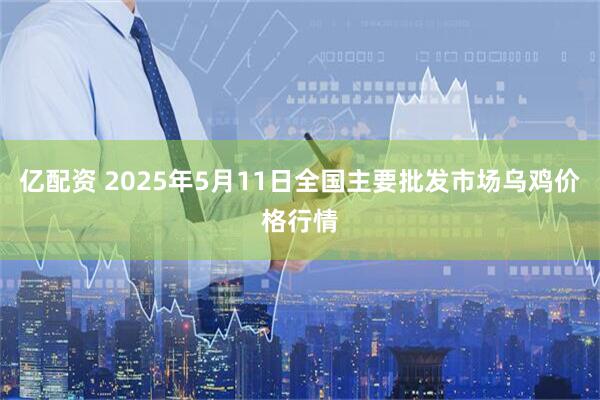 亿配资 2025年5月11日全国主要批发市场乌鸡价格行情